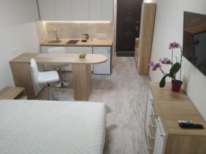 Apartment Kiev Studio with city view